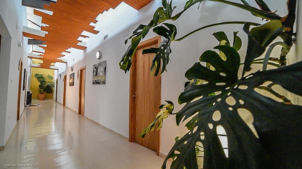 Hostal Rural - Ben-Nassar Arjona Exterior photo