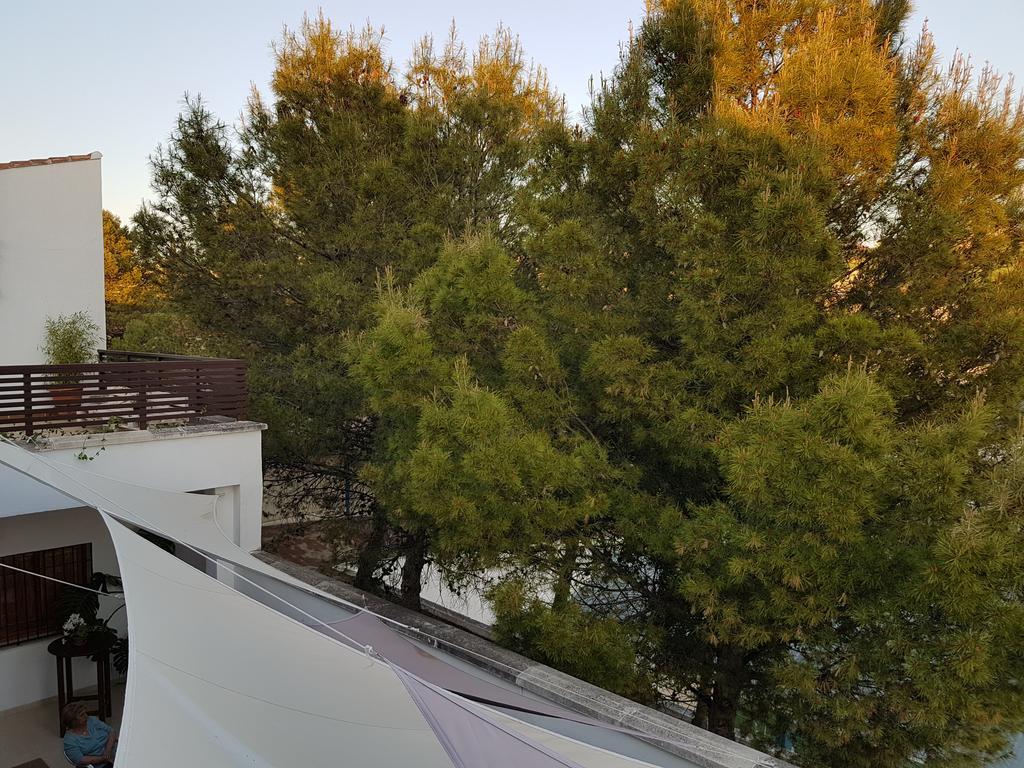 Hostal Rural - Ben-Nassar Arjona Exterior photo